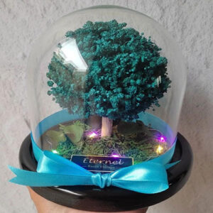 ÁRBOL DE LA VIDA