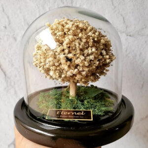ÁRBOL DE LA VIDA