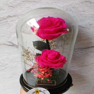 ELEGANTE FUCSIA