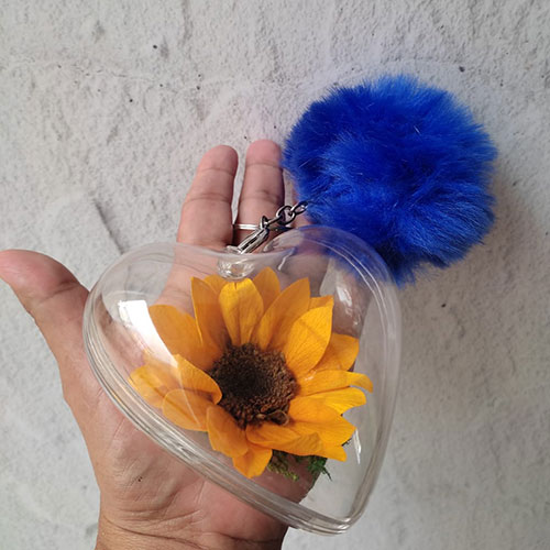 Llaver Girasol-Preservado-