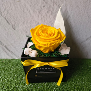 SOLITAIRE VARIOS COLORES - Amarillo
