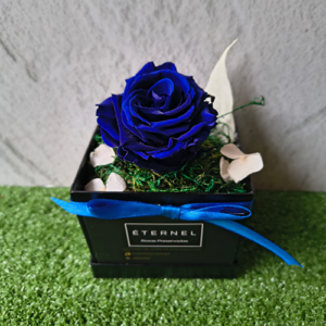 SOLITAIRE VARIOS COLORES - Azul