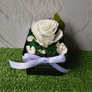 SOLITAIRE VARIOS COLORES - Blanco