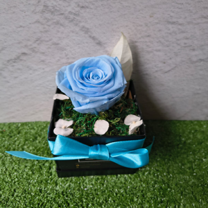 SOLITAIRE VARIOS COLORES - Celeste