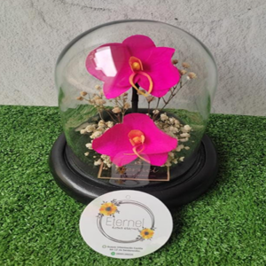 UNIQUE ORQUIDEA