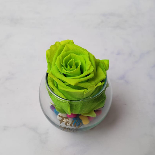 PRESERVADA-EN-PECERA-VERDE